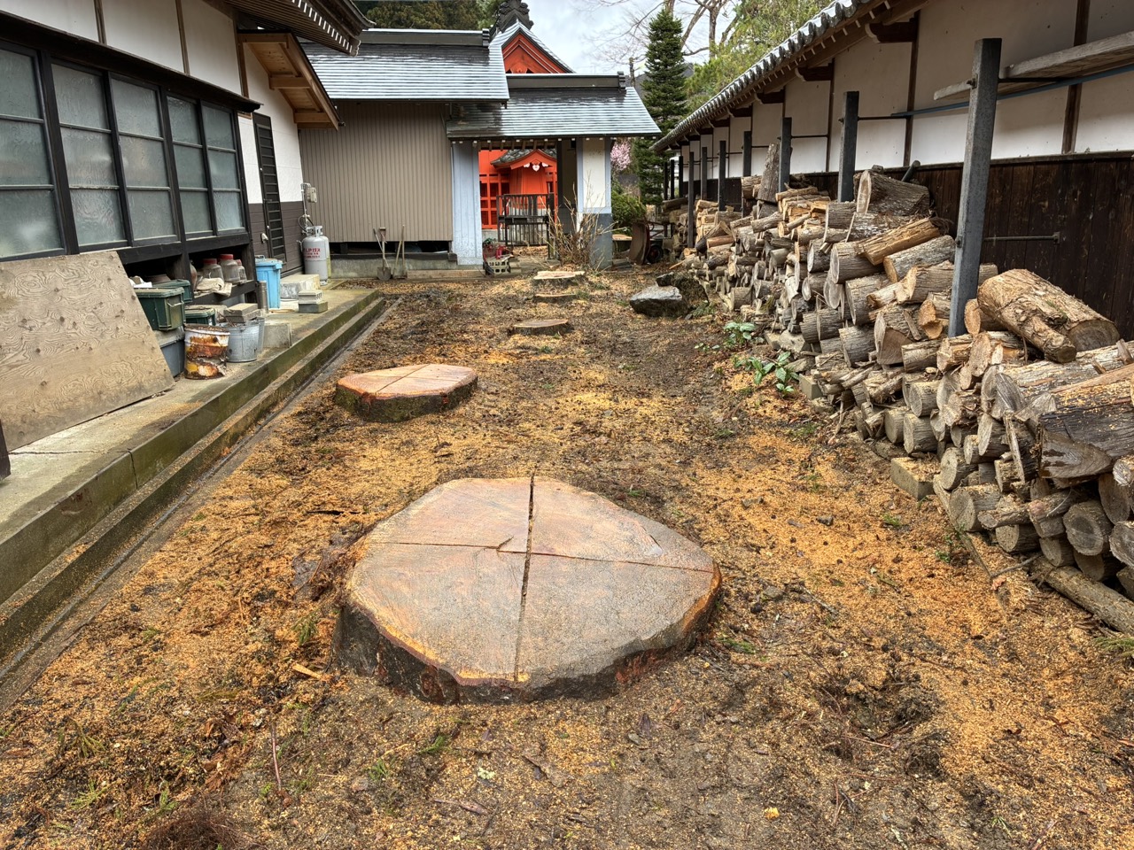 住宅に隣接した高木の特殊伐採